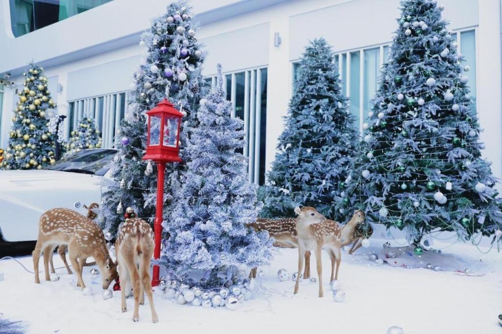 Glacier Hotel Кхонкен Екстер'єр фото
